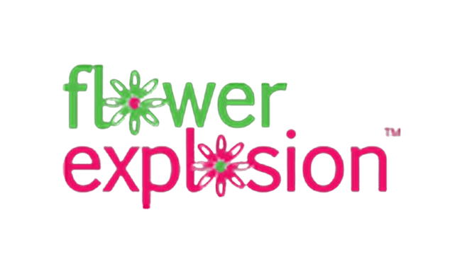 flower explosion